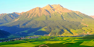 甘肅建投生態(tài)建設(shè)集團(tuán)有限公司隸屬于中國(guó)500強(qiáng)企業(yè)—甘肅省建設(shè)投資（控股）集團(tuán)有限公司，是甘肅建投貫徹落實(shí)“五位一體”總體布局和新發(fā)展理念，推進(jìn)生態(tài)治理板塊發(fā)展的新業(yè)態(tài)公司。