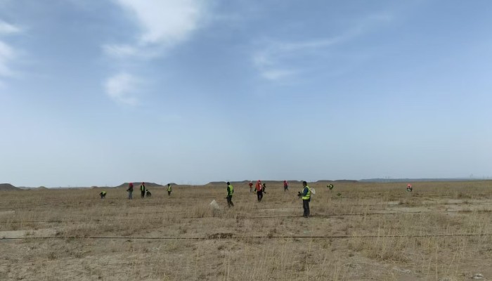【“三抓三促”行動】不負春日好時光，全力沖鋒“三北”建設(shè)